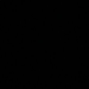 Meet your Posher, Emmanuel